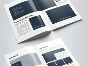 簡約大氣藍(lán)色科技公司軟件開發(fā)宣傳冊模板設(shè)計(jì)