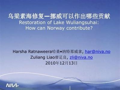 破局藍(lán)海 在線手游版權(quán)代理的掘金之道與文化深耕