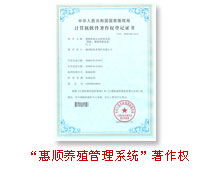 柳州阿佳希軟件基于PageAdmin CMS的產品著作權登記與企業管理咨詢解析