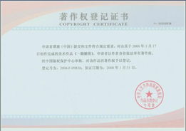 版權登記與執照代辦等商業服務 企業管理咨詢的價值與選擇